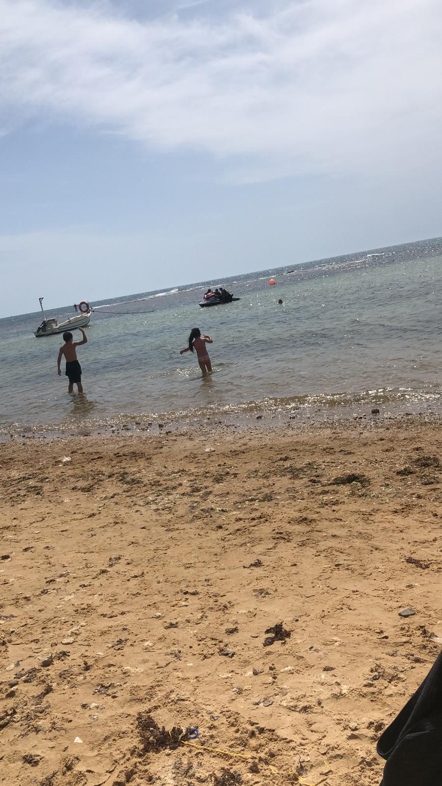 WhatsApp Image 2020-05-16 at 2.57.36 PM (1).jpeg.jpeg